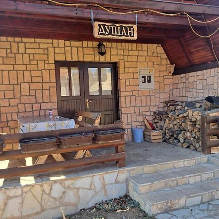 Planinska Kuca Dusan Mitrovac Kültér fotó