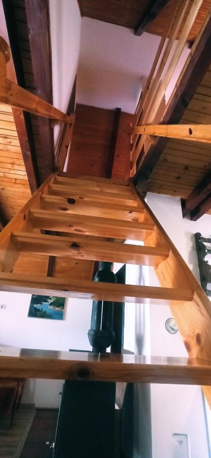 Planinska Kuca Dusan Mitrovac Kültér fotó