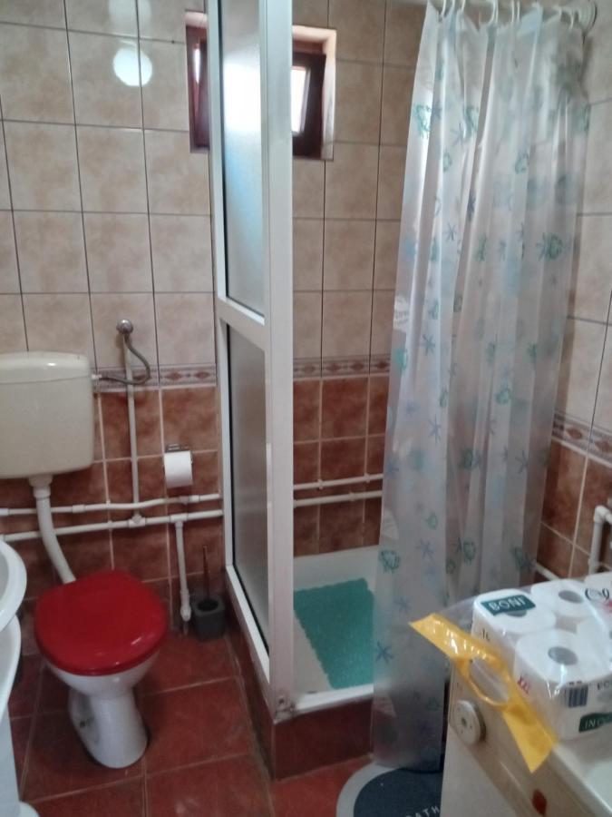 Planinska Kuca Dusan Mitrovac Kültér fotó