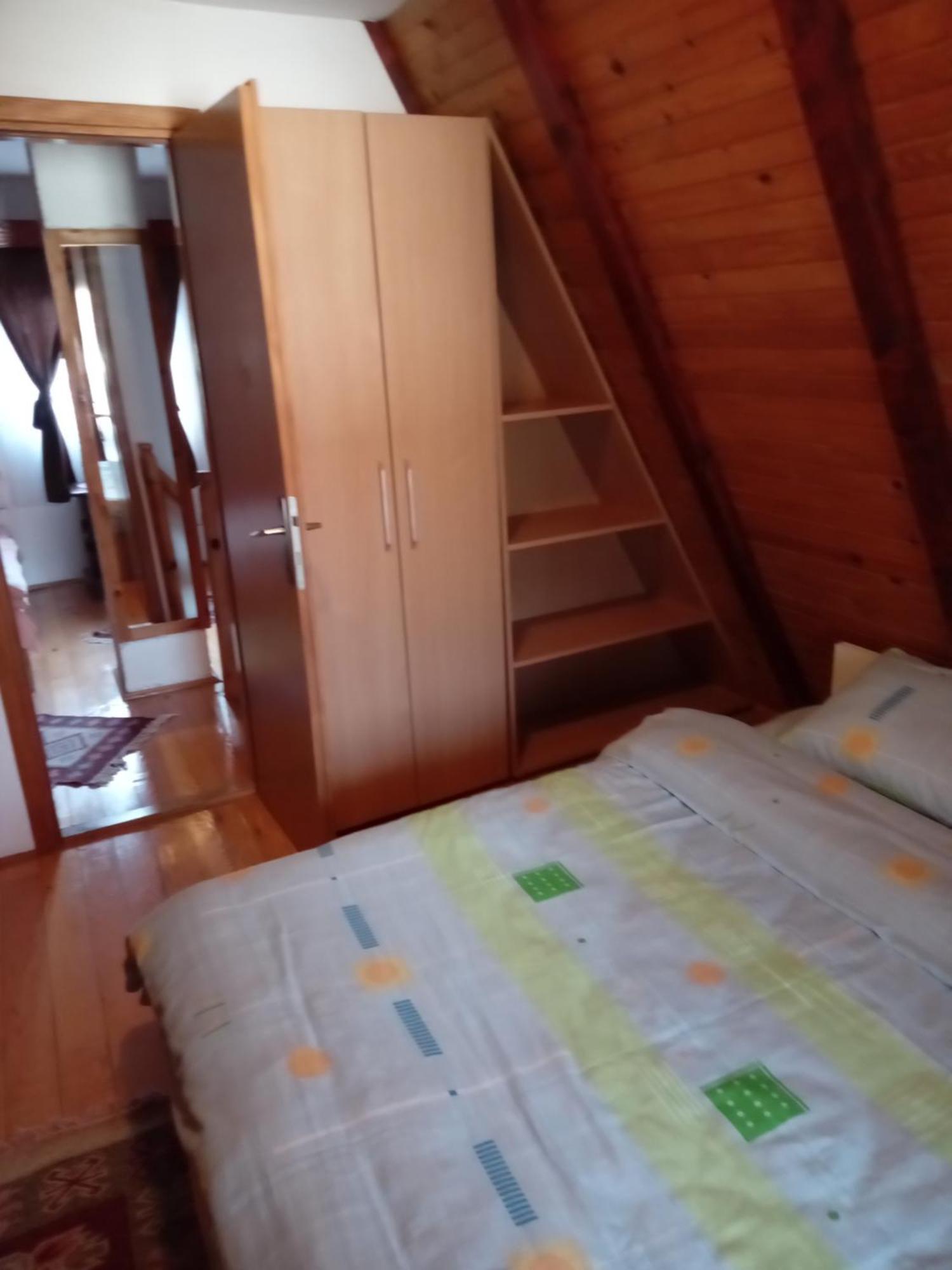 Planinska Kuca Dusan Mitrovac Kültér fotó