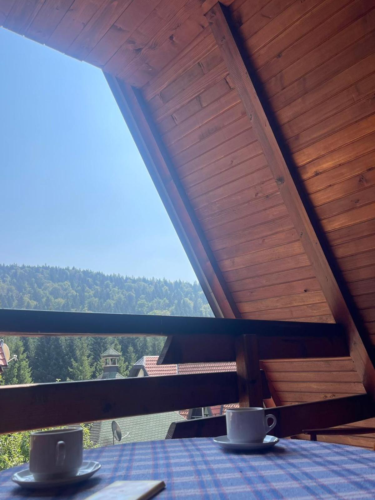 Planinska Kuca Dusan Mitrovac Kültér fotó
